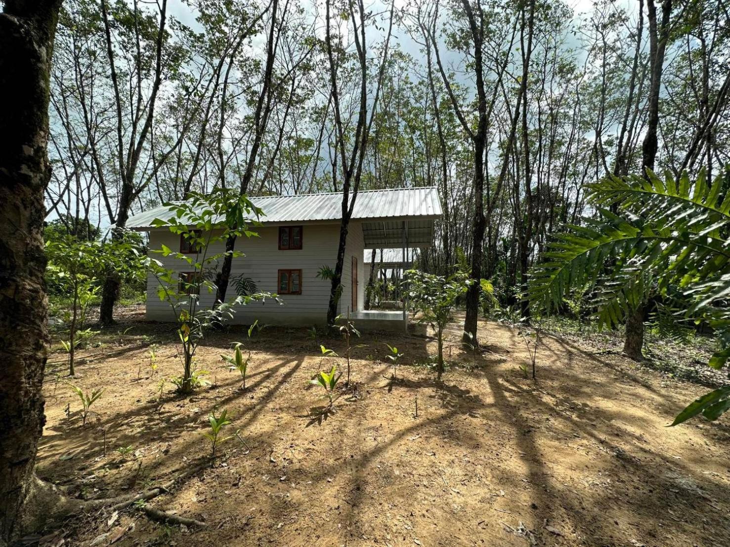 Rabbit Bungalow Koh Phayam Εξωτερικό φωτογραφία